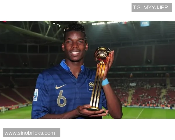 足球明星博格巴的职业生涯与成就全解析