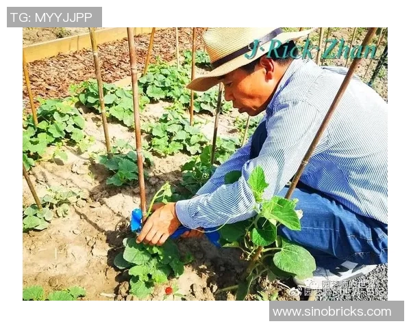 足球明星家庭蔬菜花园的秘密揭秘与健康生活方式的完美结合